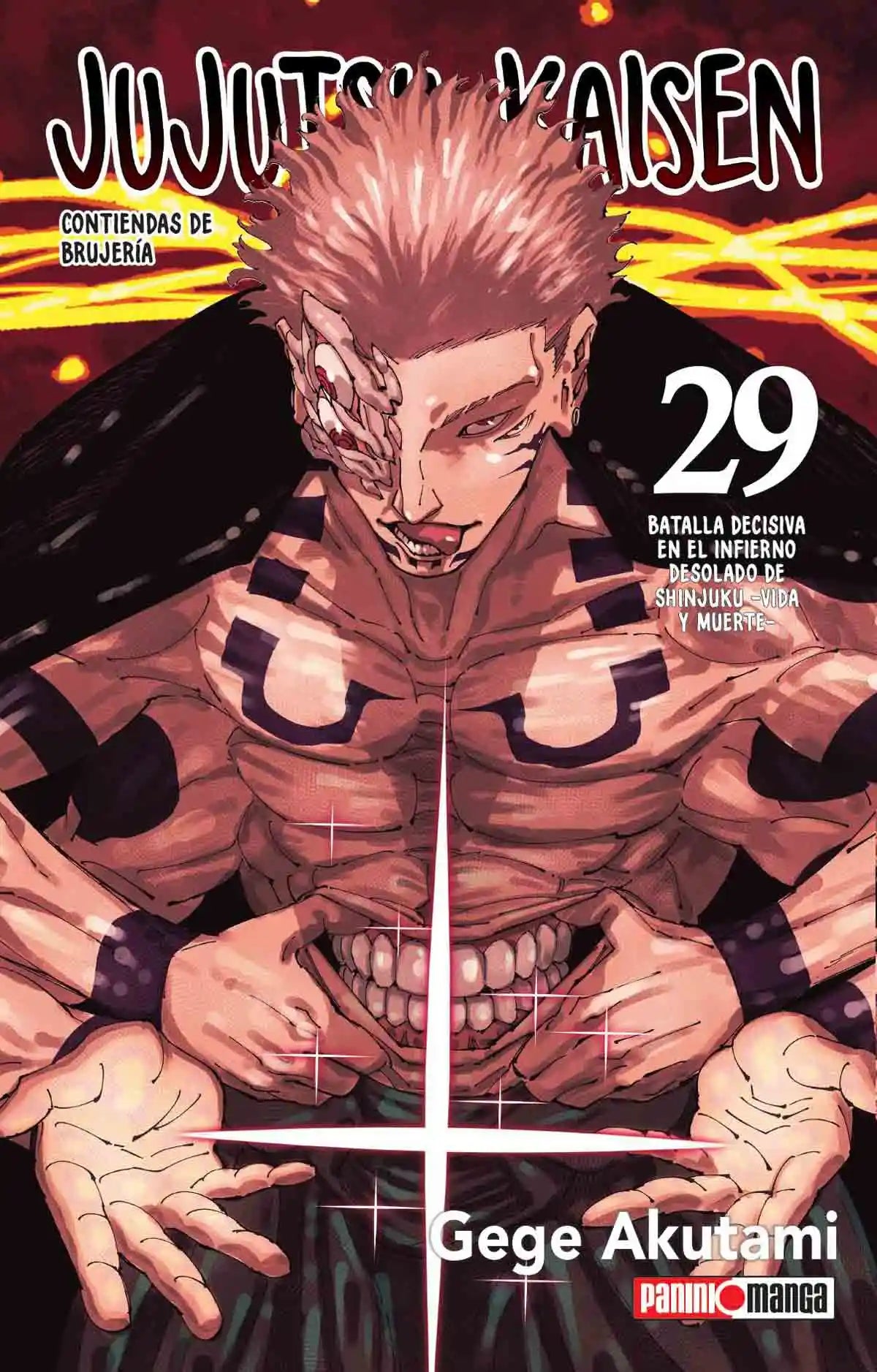 Jujutsu Kaisen #29