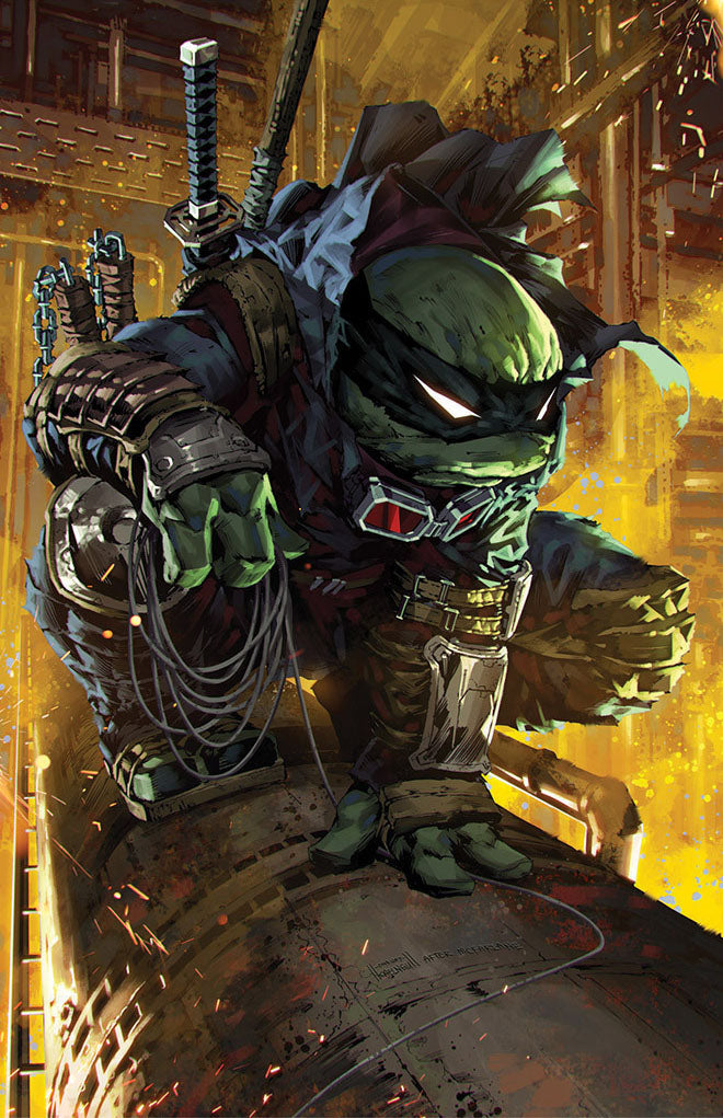 Teenage Mutant Ninja Turtles: The Last Ronin #2