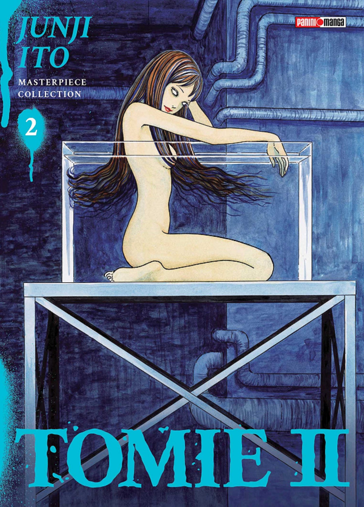 Junji Ito Masterpiece Collection: Tomie #2