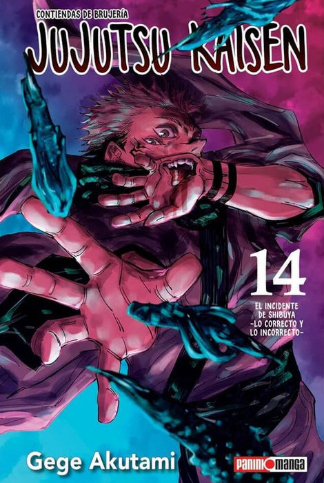 Jujutsu Kaisen #14