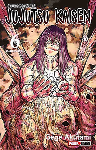 Jujutsu Kaisen #6