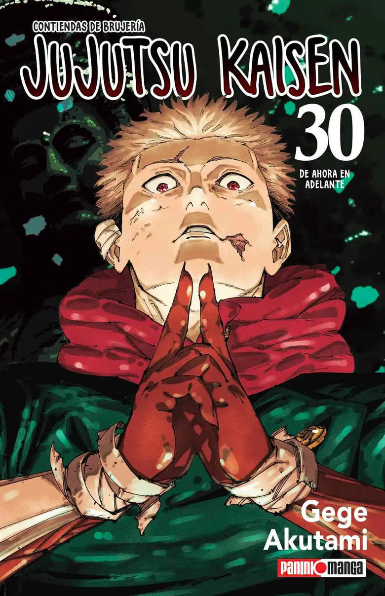 Jujutsu Kaisen #30